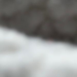 Meet your Posher, Hazel